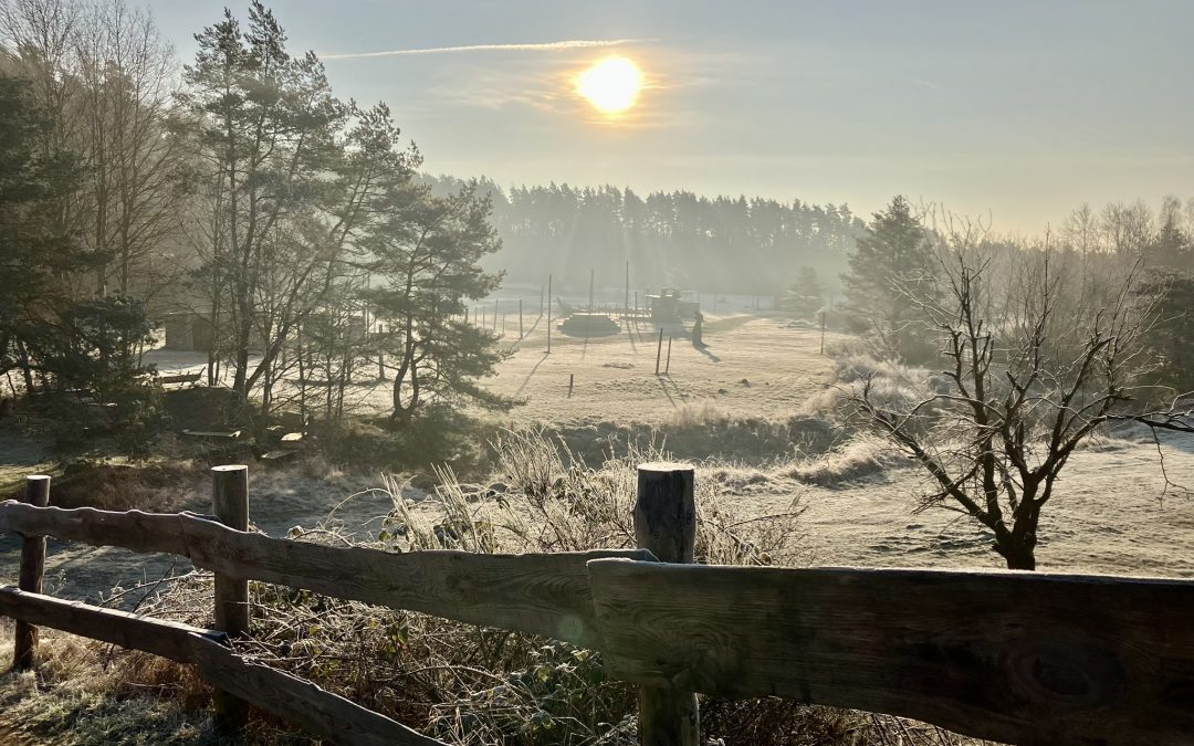 Unser geliebtes Festival-Gelände [noch] im Winterschlaf