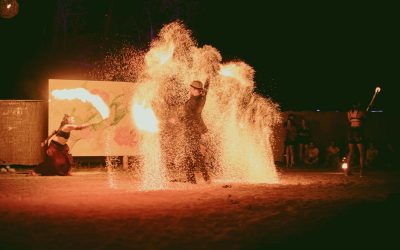 Willkommen an einem Ort voller Magie und Fantasie